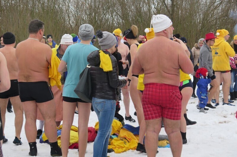 Zdjęcie 44: Morsy są szalone! 