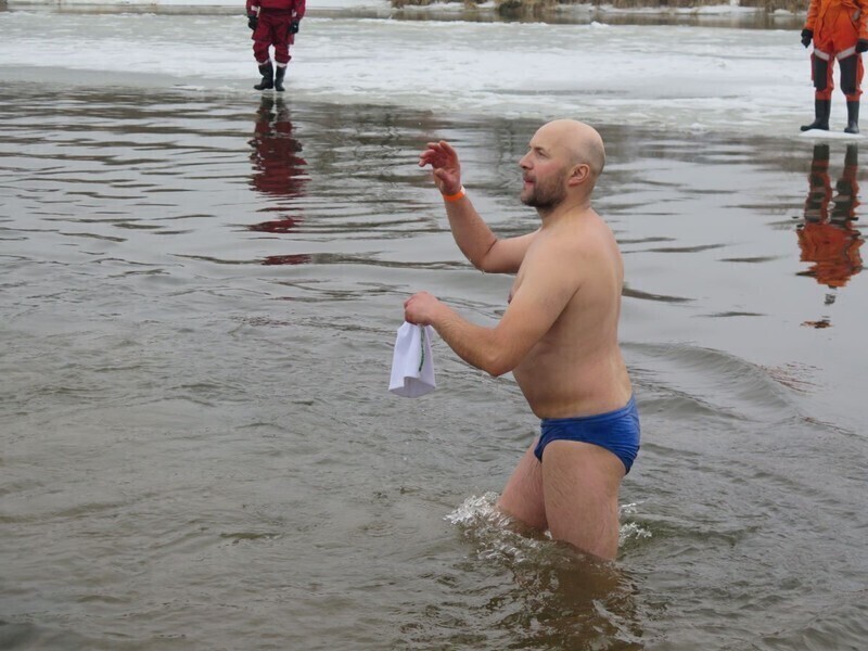 Zdjęcie 46: Morsy są szalone! 