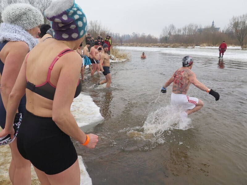 Zdjęcie 48: Morsy są szalone! 