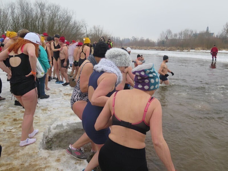 Zdjęcie 49: Morsy są szalone! 