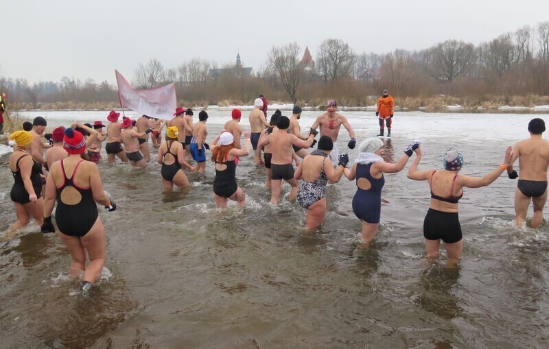 Zdjęcie 50: Morsy są szalone! 