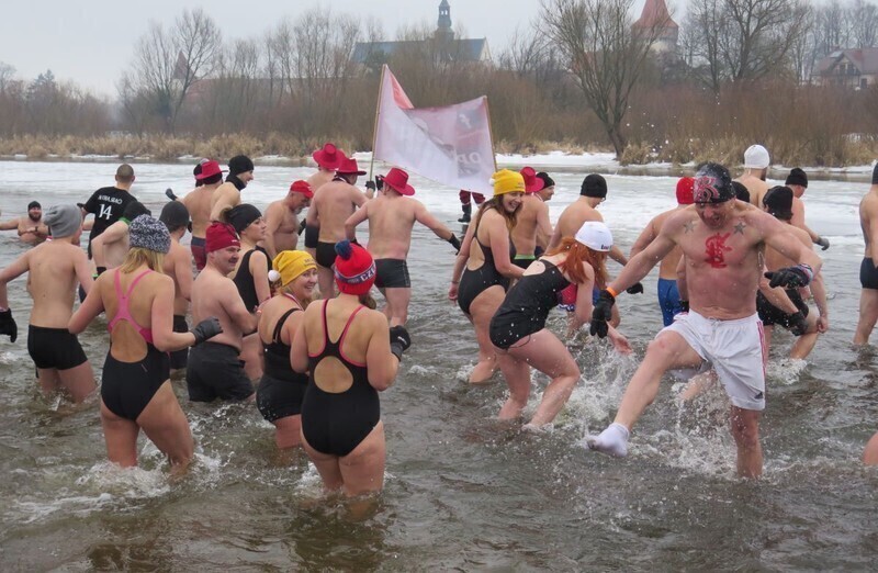 Zdjęcie 51: Morsy są szalone! 