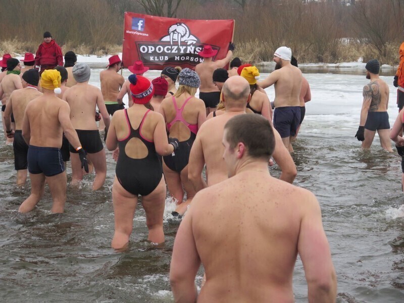 Zdjęcie 53: Morsy są szalone! 