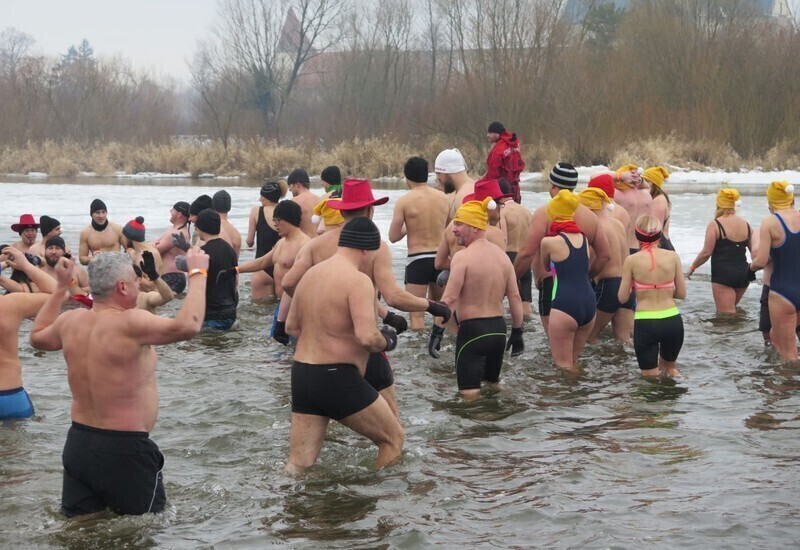 Zdjęcie 54: Morsy są szalone! 