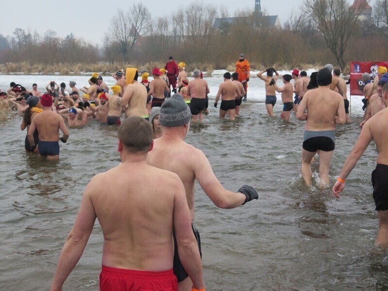 Zdjęcie 55: Morsy są szalone! 