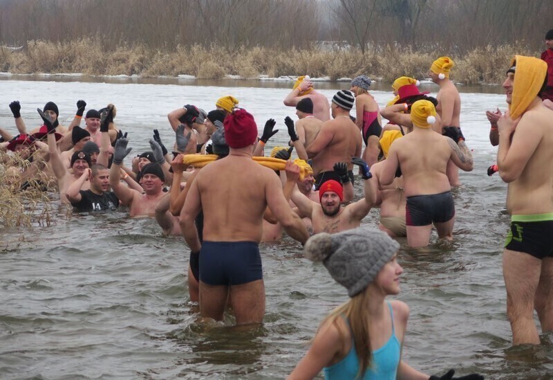 Zdjęcie 56: Morsy są szalone! 