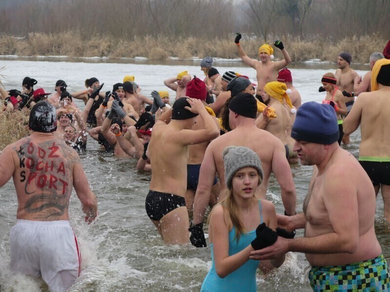 Zdjęcie 57: Morsy są szalone! 