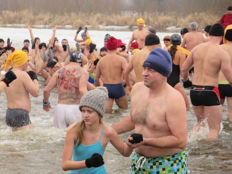 Zdjęcie 58: Morsy są szalone! 