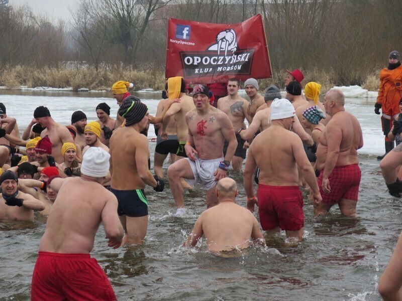 Zdjęcie 59: Morsy są szalone! 