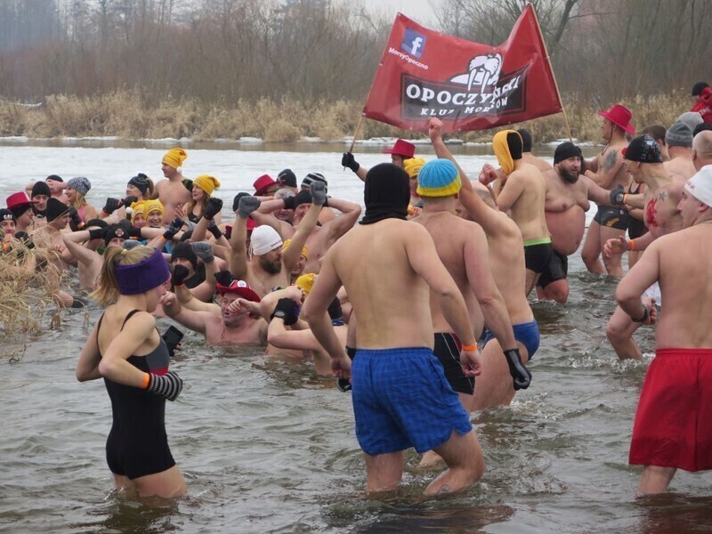 Zdjęcie 60: Morsy są szalone! 