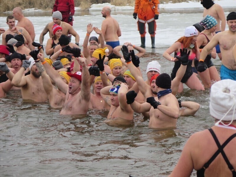 Zdjęcie 62: Morsy są szalone! 