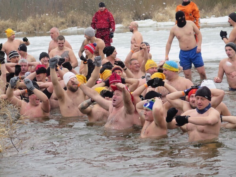 Zdjęcie 63: Morsy są szalone! 