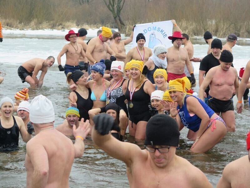 Zdjęcie 69: Morsy są szalone! 