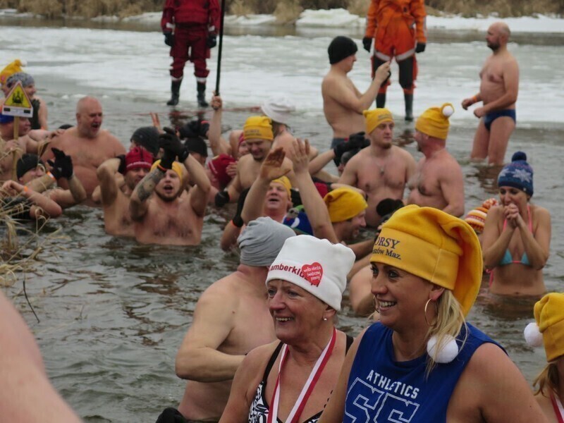 Zdjęcie 70: Morsy są szalone! 