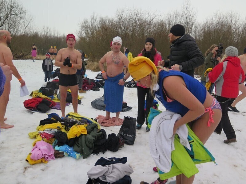 Zdjęcie 73: Morsy są szalone! 