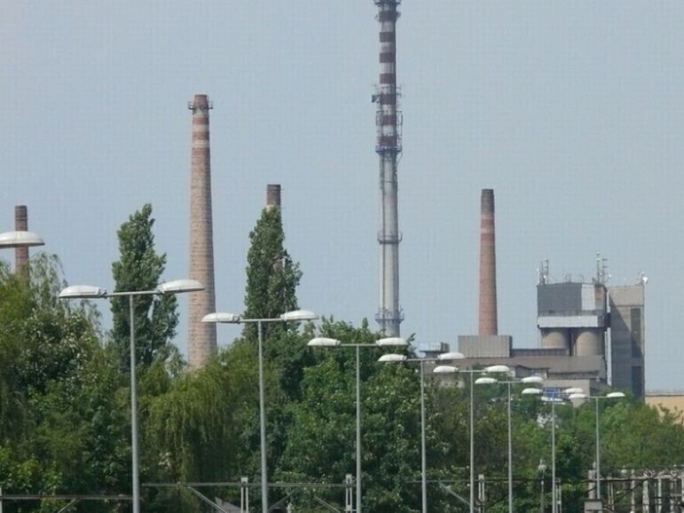 Pamiętacie jak dogorywała Hortensja