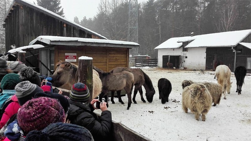Zdjęcie 13: Ferie, ferie i po feriach 