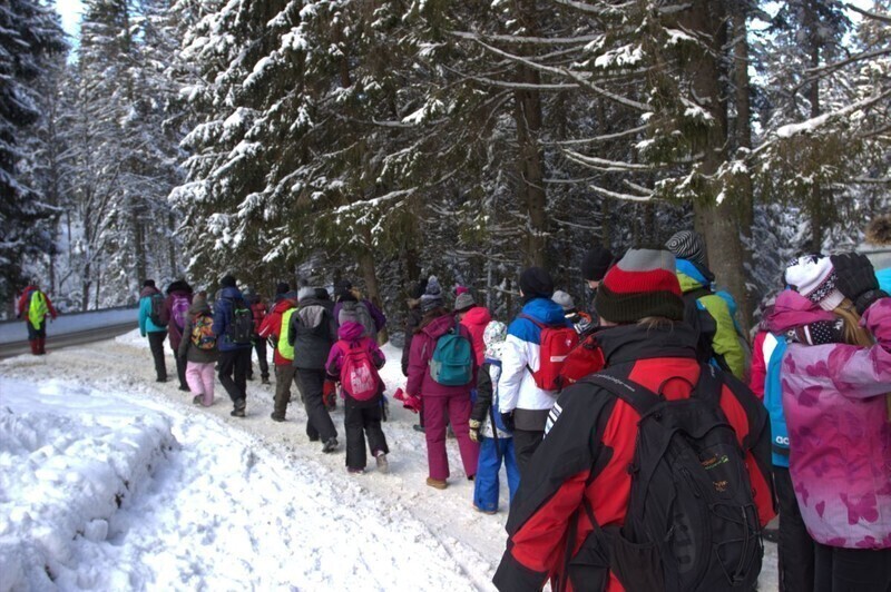 Zdjęcie 10: Aktywne ferie harcerzy 