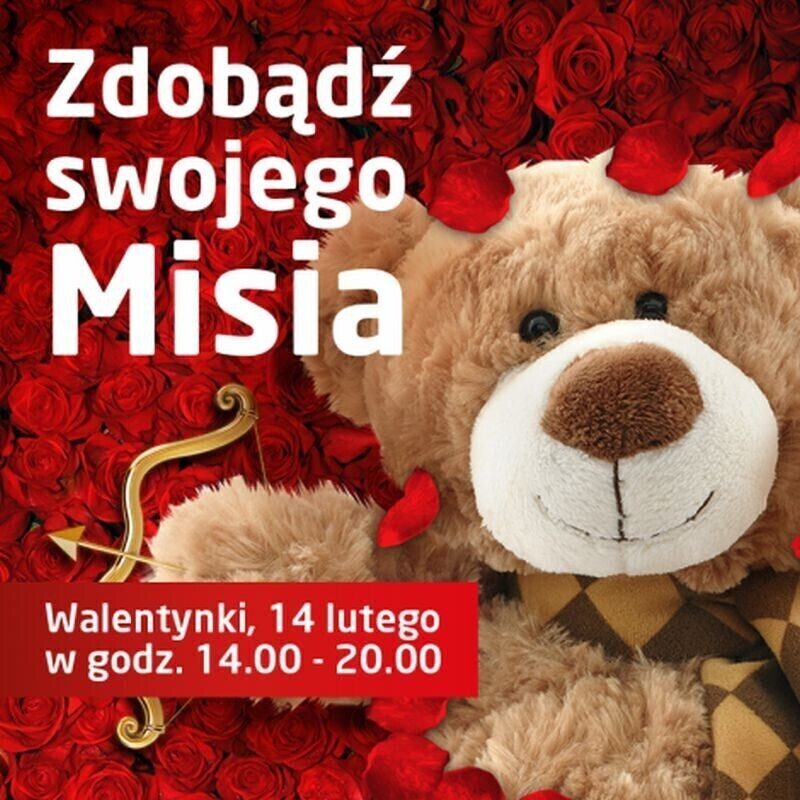 Zakochaj się w misiu Ponad 300 walentynkowych pluszaków do wygrania