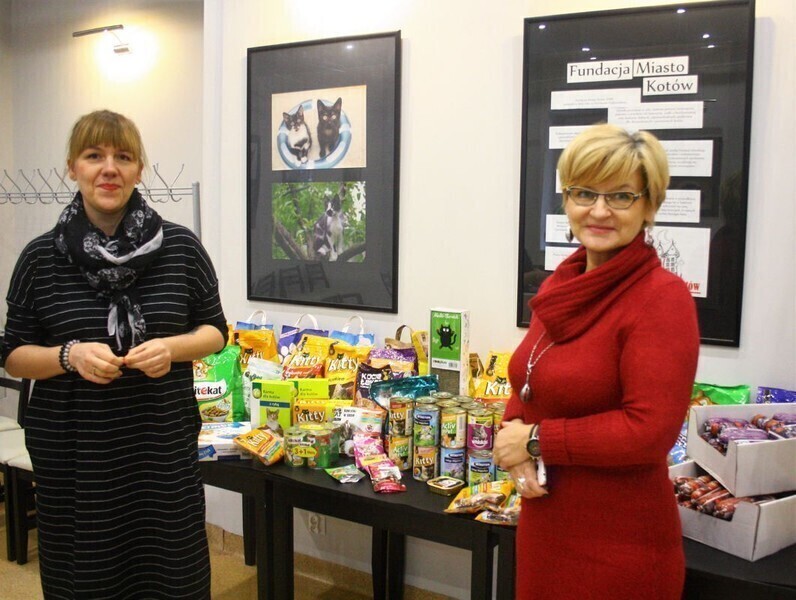 Dary z OEA MOK dla Fundacji Miasto Kotów