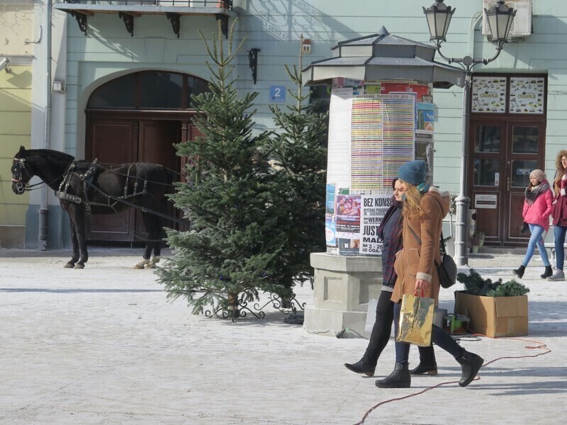 Zdjęcie 6: Sesja zdjęciowa piotrkowskich przedszkolaków z gwiazdorem polskiego kina 
