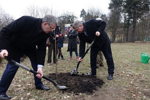 Na stulecie województwa 100 tysięcy drzew