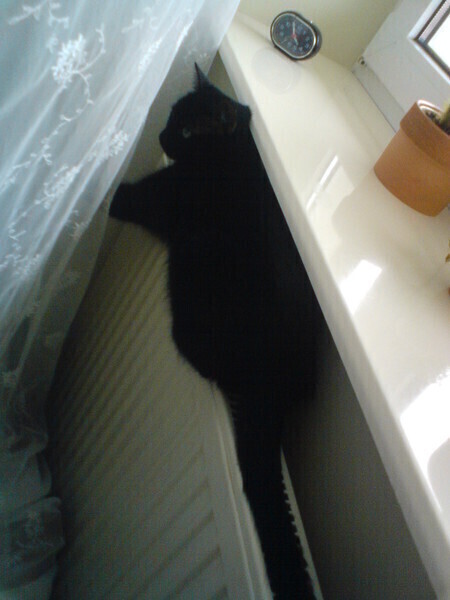 Drożej za ciepło w Piotrkowie