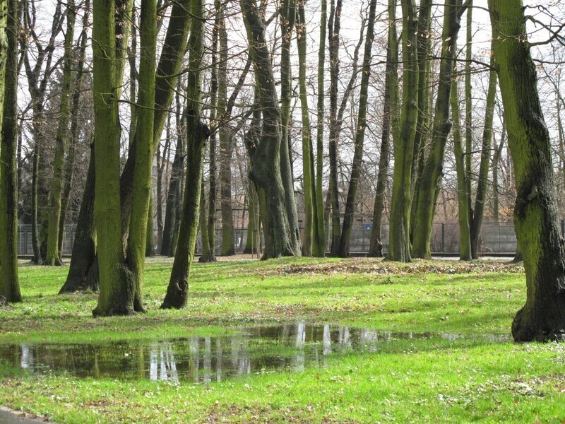 Wiecie że mamy już wiosnę