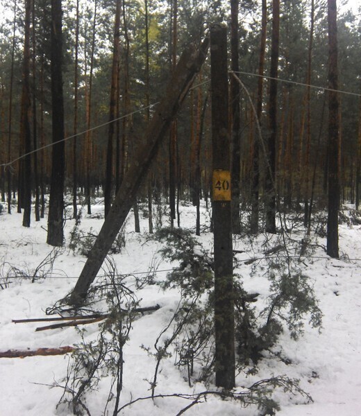 Zdjęcie 5: Kilkadziesiąt tysięcy gospodarstw bez prądu 