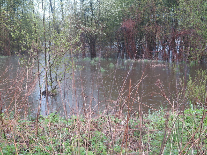 Alarm przeciwpowodziowy w gminach Sulejów i Aleksandrów