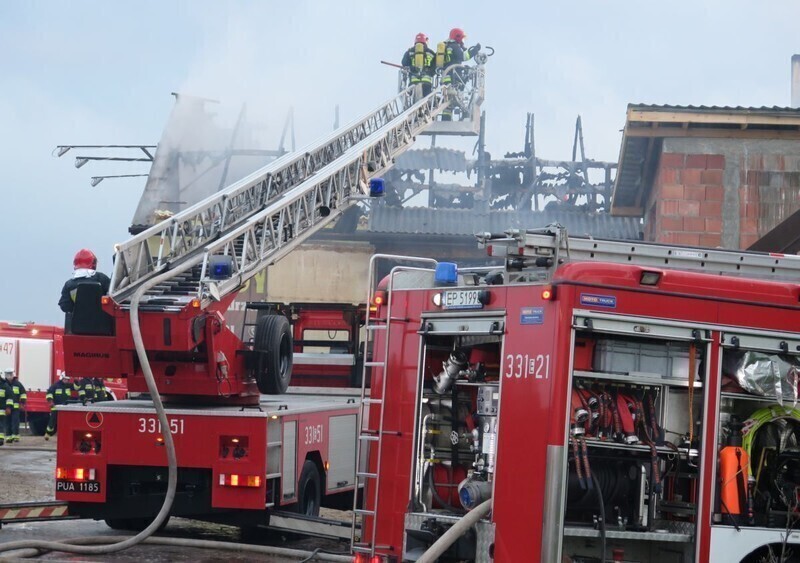 Zdjęcie 7: Płonęła stolarnia przy Twardosławickiej w Piotrkowie [AKTUALIZACJA]