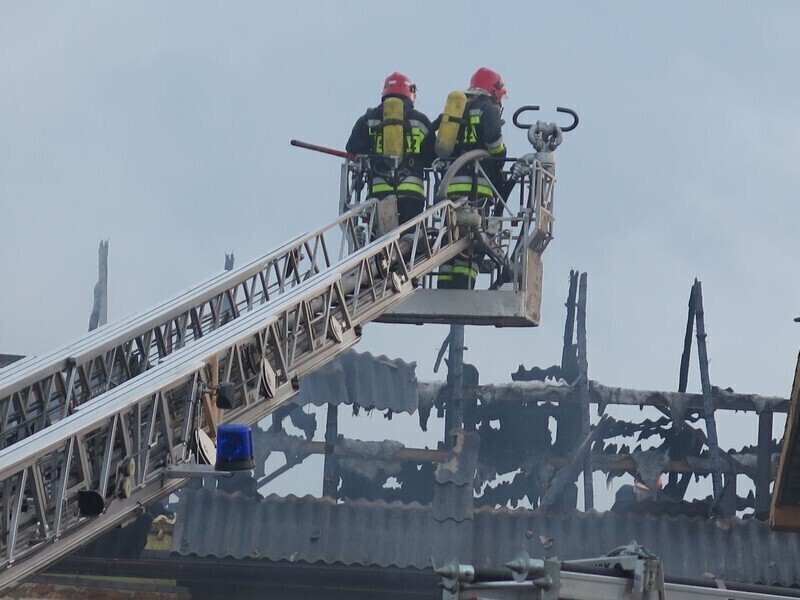 Zdjęcie 8: Płonęła stolarnia przy Twardosławickiej w Piotrkowie [AKTUALIZACJA]