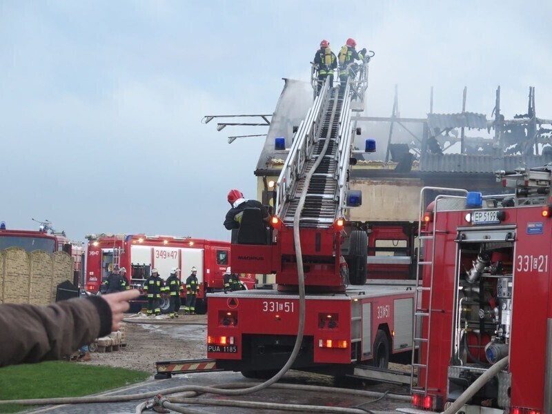 Zdjęcie 10: Płonęła stolarnia przy Twardosławickiej w Piotrkowie [AKTUALIZACJA]