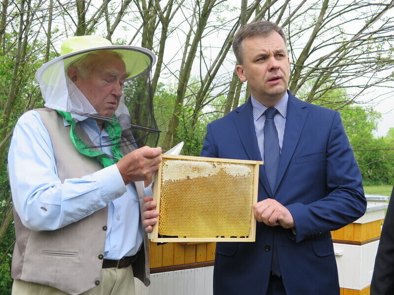 Kto ma pszczoły ten ma miód. Miejskie pasieki otwarte