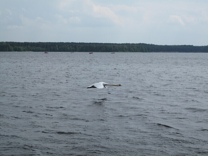 Sprawdź gdzie można się kąpać