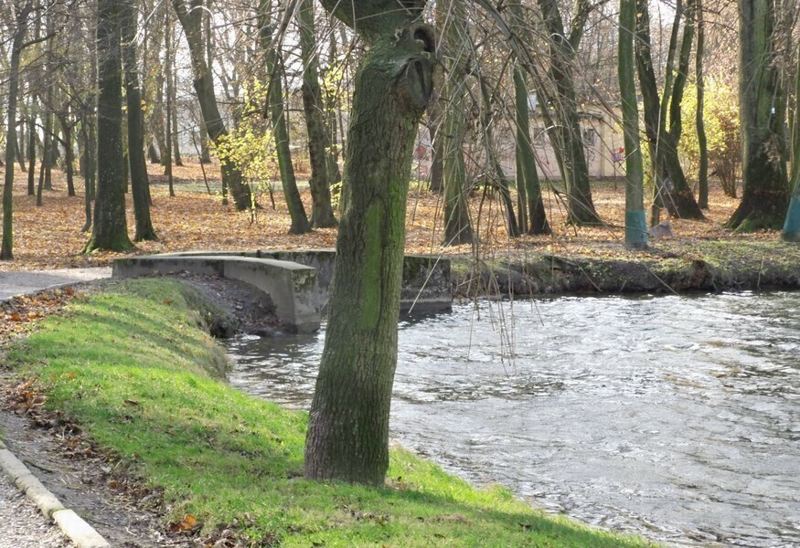 Mieszkańcy bronią parku Belzackiego