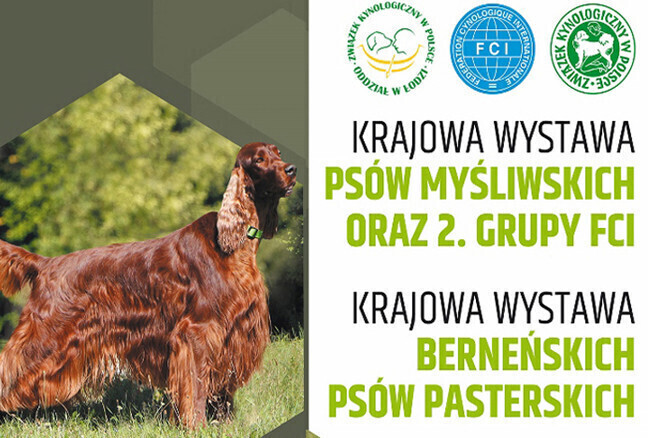 Wystawa rasowych psów w Piotrkowie