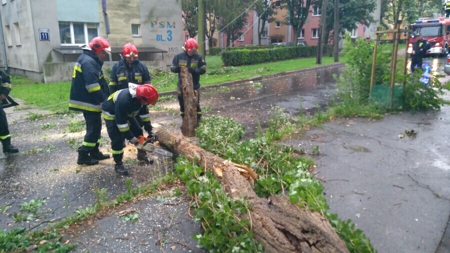 Piotrków. Powalone drzewa złamane słupy