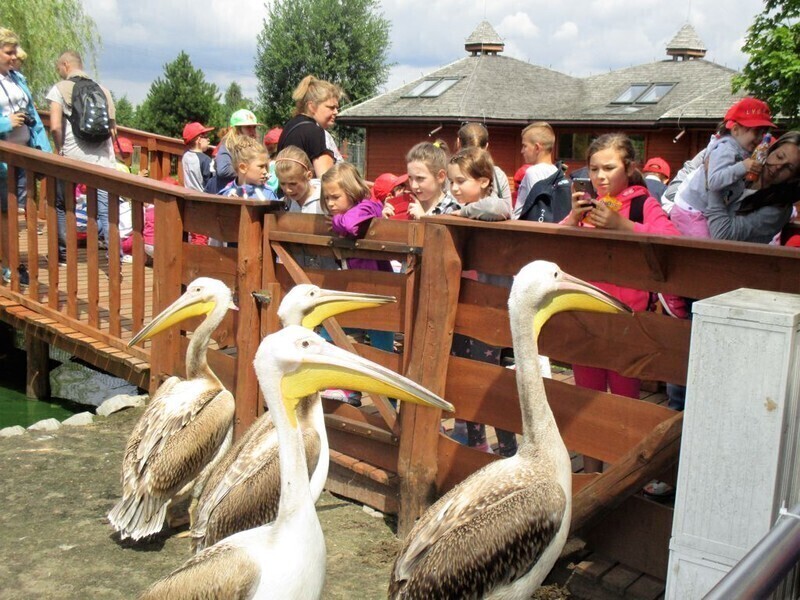 Drugi tydzień wakacji z MOK-iem