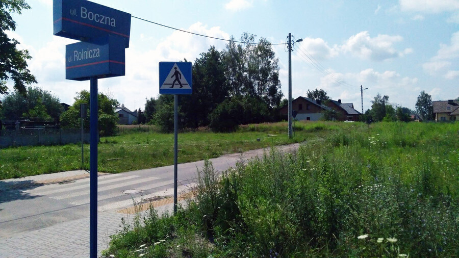 Chaszcze na prywatnych posesjach. ZDiUM i Straż Miejska bezradne