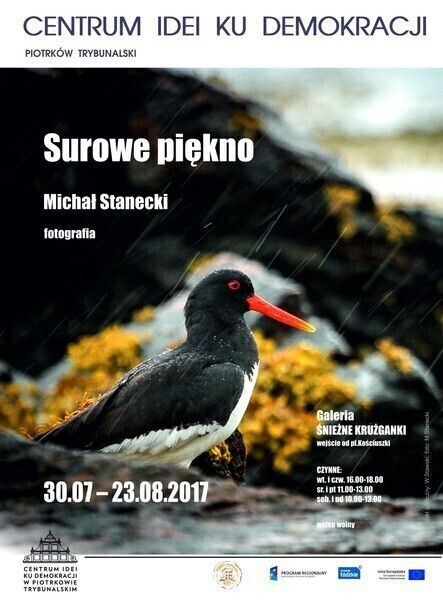 Surowe piękno Północy