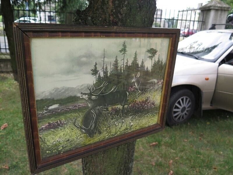 Zdjęcie 23: Czego tam nie było...