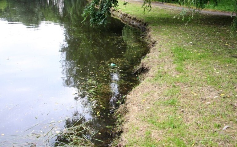 Szczury w parku Belzackim potrzebna deratyzacja