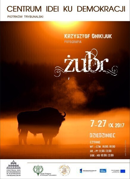 Żubr w roli głównej