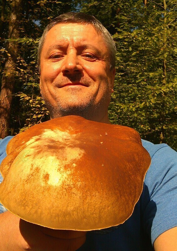 W sanepidzie sprawdzisz czy grzyb jest jadalny