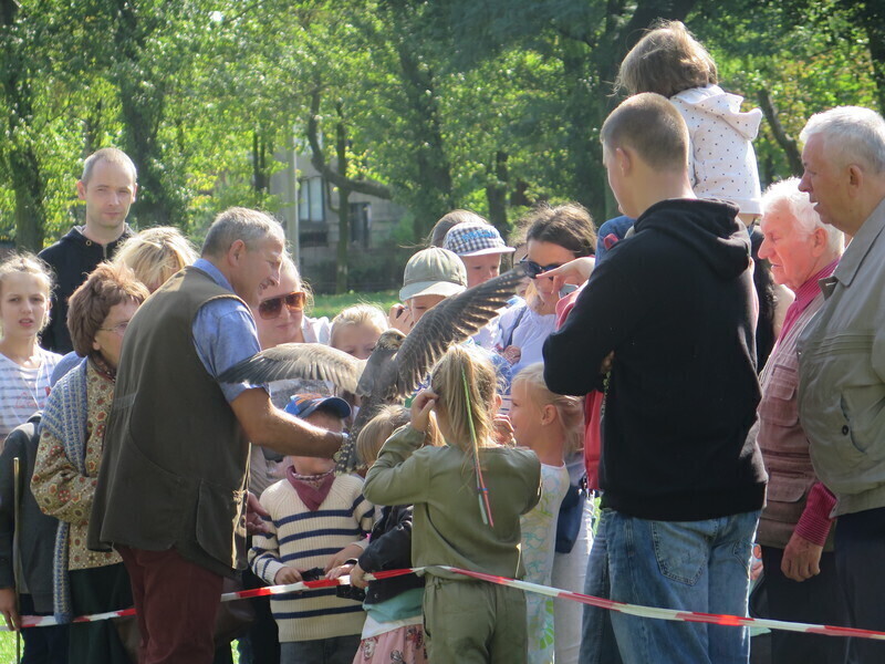 Orły i sokoły zachwyciły piotrkowian
