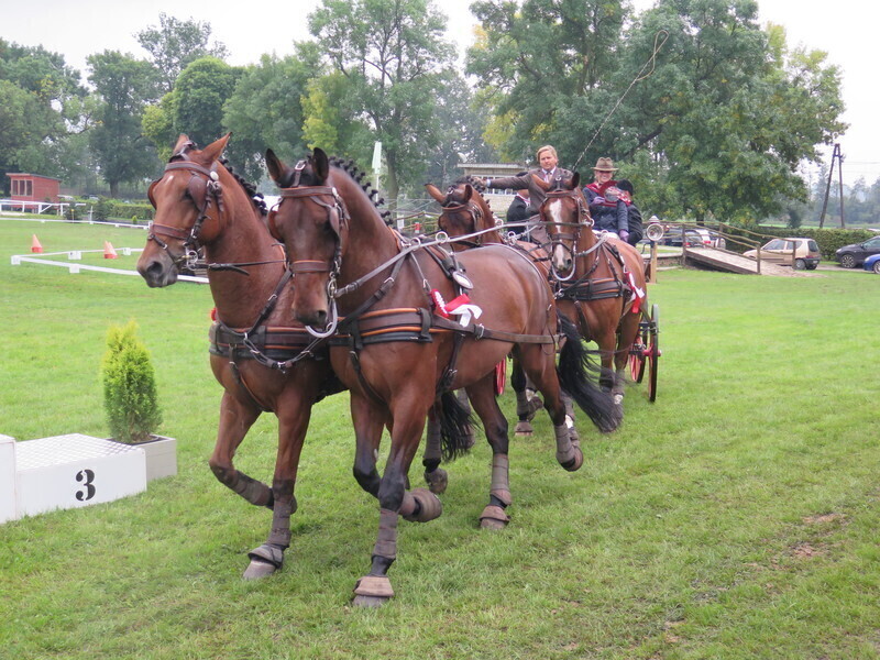 W Bogusławicach powrócili do tradycji