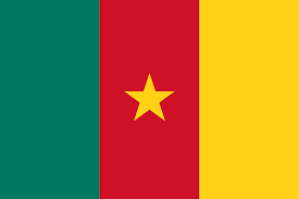 Piotrcovia jednak nie zagra z Kamerunem