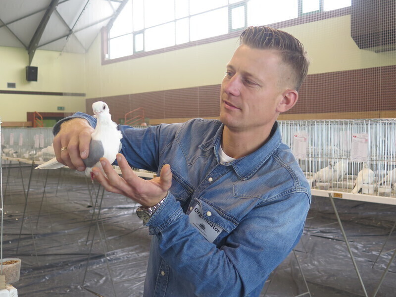 Hodowcy prezentują najlepsze okazy