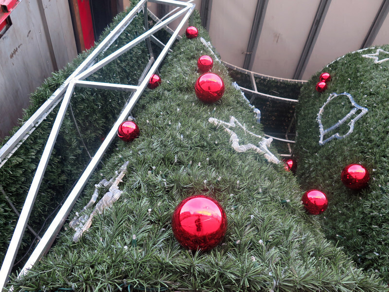 Choinka rozbłyśnie na Mikołajki